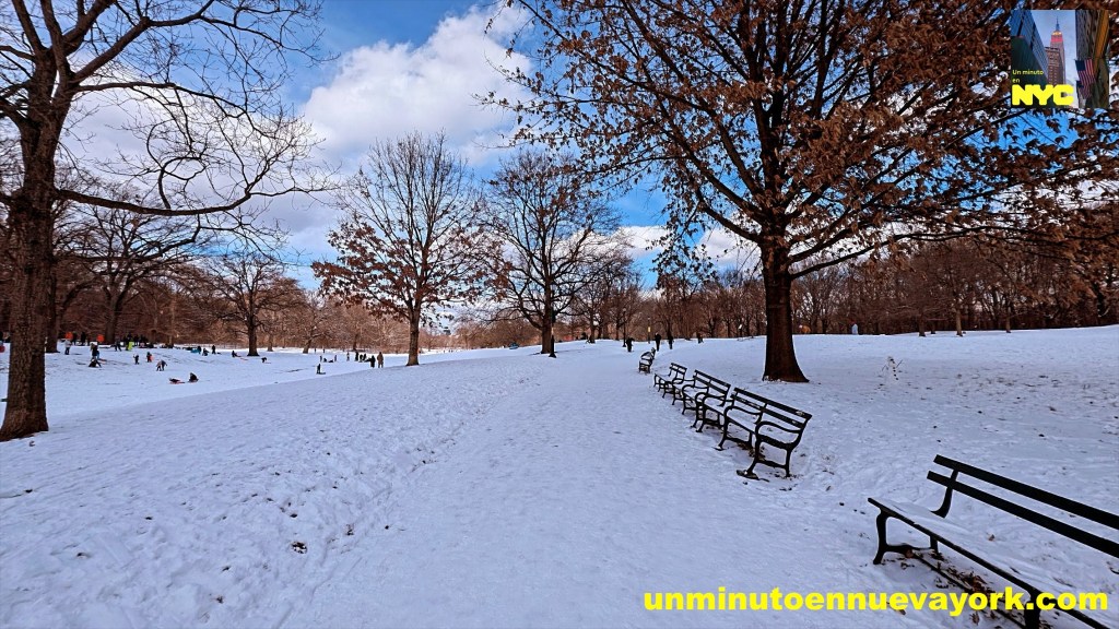 Imagen invernal de un parque con nieve