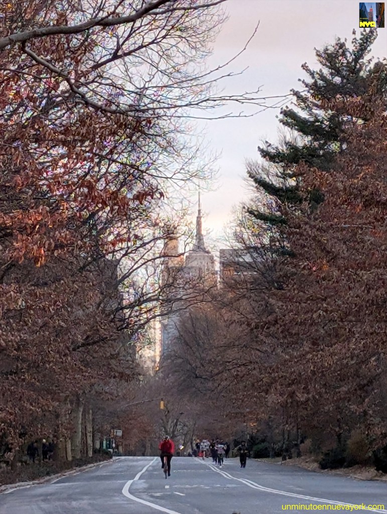 Afternoon walk in Central Park